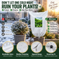 🛡️✨ 50% KORTING! Bescherm je planten vóór de eerste vorst! Deze herbruikbare winterhoes met rits en ademend materiaal houdt struiken, bomen en potplanten veilig – seizoen na seizoen!