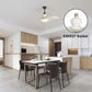 🌀💡 2-IN-1 DRAAGBARE PLAFONDVENTILATOR & LAMP met afstandsbediening 📱🔧✨