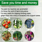 🌾50% KORTING + GRATIS VERZENDING🥒Bindmachine voor takken van groenten en fruit