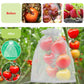 Beschermende gaaszakken voor fruitbomen