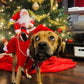 🐕Kerstkostuum voor honden met rijdende Kerstman en rendier🎄