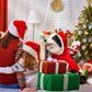 🐕Kerstkostuum voor honden met rijdende Kerstman en rendier🎄