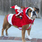 🐕Kerstkostuum voor honden met rijdende Kerstman en rendier🎄