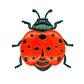🐝 TIJDELIJK 50% KORTING! ✨ 3D Insecten Wanddecoratie – Bij, Vlinder, Lieveheersbeestje, Weerbestendig