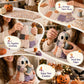 Klein Spookje's Gezellige Halloween DIY Lapjeskit