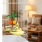 Schattig Wolkvormig Vogelzitplatform
