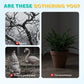 12 Stuks Kunstmatige Geveerde Vogels met Clips