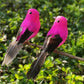 12 Stuks Kunstmatige Geveerde Vogels met Clips