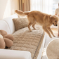 💥【50% OFF】🔥 Gewatteerd Ribfluwelen Bankkussen | Verdikt & Zacht | Antislip Achterkant | Beschermt tegen Haren/Krassen/Vlekken | Meerdere Maten & Kleuren | Voor Bank/Fauteuil/Autostoel 🛋️