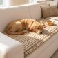 💥【50% OFF】🔥 Gewatteerd Ribfluwelen Bankkussen | Verdikt & Zacht | Antislip Achterkant | Beschermt tegen Haren/Krassen/Vlekken | Meerdere Maten & Kleuren | Voor Bank/Fauteuil/Autostoel 🛋️