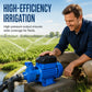 Zelfaanzuigende Waterdruk Verhogingspomp