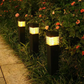 ✨ Vierkante solar grondlampen voor tuinpaden en borders