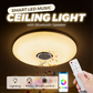 Slimme LED-plafondlamp met Bluetooth-speaker en RGB-licht