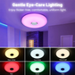 Slimme LED-plafondlamp met Bluetooth-speaker en RGB-licht