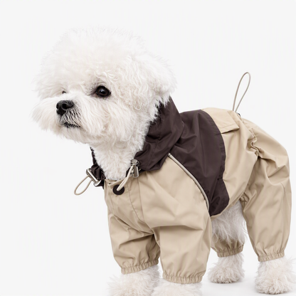 🐕 Waterafstotende regenjas voor honden