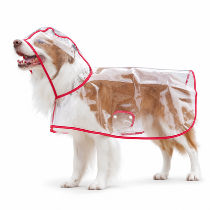 ⏳ Tijdelijke aanbieding⏳ ⛈️ Stormvast & kristalhelder: je hond blijft droog en ziet alles tijdens wandelen