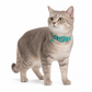 ⏳ Tijdelijke aanbieding⏳ Verstelbare reflecterende kattenhalsband met trackerhouder en belletje Kliksluiting Keuze uit zwart roze rood oranje en blauw